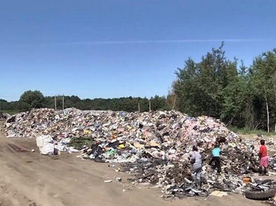 Во Львове образовалась огромная мусорная свалка