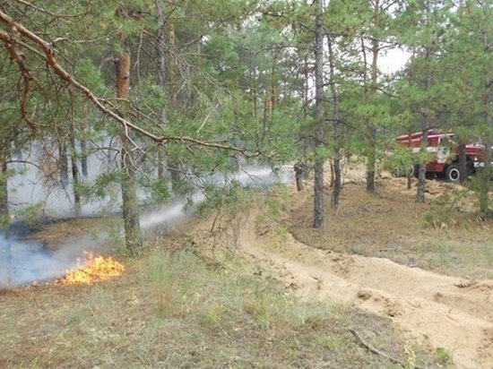 Украинцев предупредили о чрезвычайном уровне пожарной опасности
