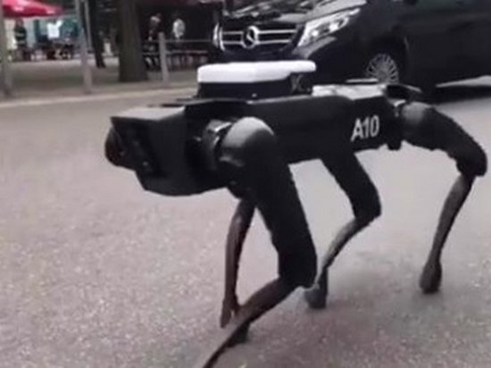 Boston Dynamics выгуливали робота-собаку в Ганновере (видео)