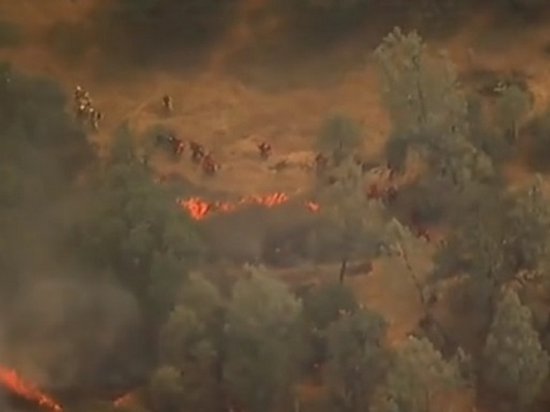 В Калифорнии пожары: эвакуированы 3000 человек