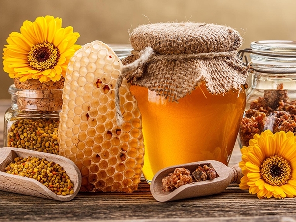 Пчеловодство как бизнес: что следует знать?