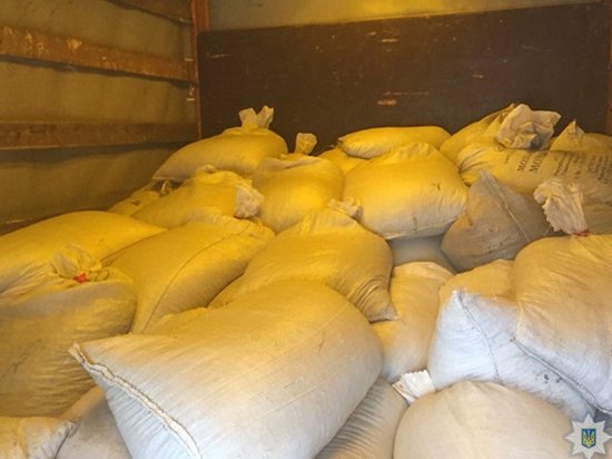 В Житомирской области изъяли 2 тонны янтаря