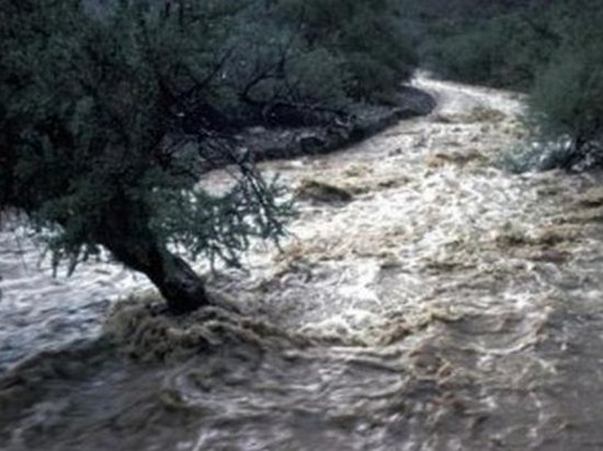 В реках Украины ожидают подъем уровня воды
