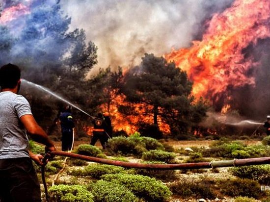 Причиной пожаров в Греции мог стать поджог
