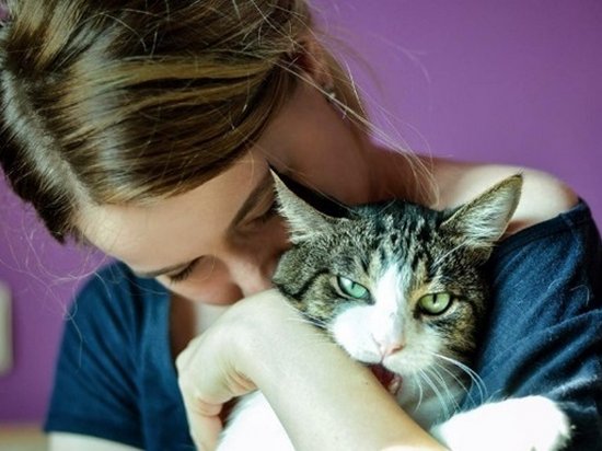 Ученые: Кошки больше любят женщин