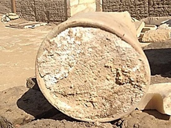 Химики изучили древнейший в мире сыр из египетской гробницы