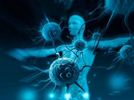 Исследователи выявили новый орган в иммунной системе