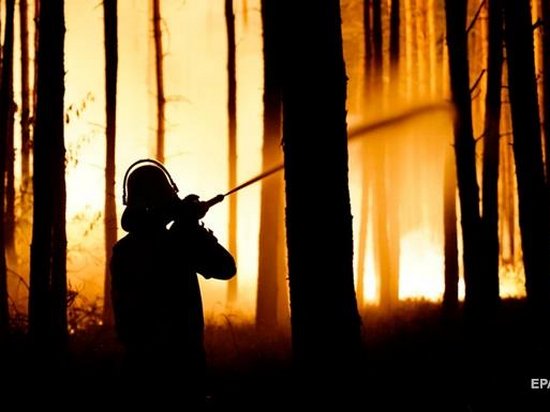 В Германии из-за лесного пожара эвакуировали сотни людей