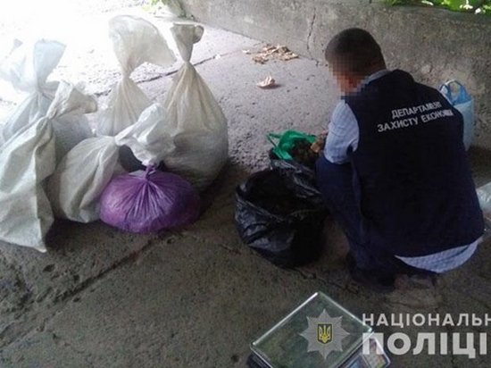 В Ровенской области полиция изъяла 200 кг янтаря