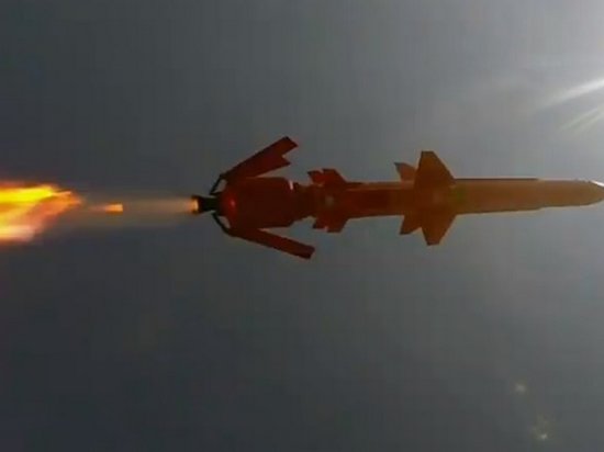 Полет украинской крылатой ракеты показали на видео