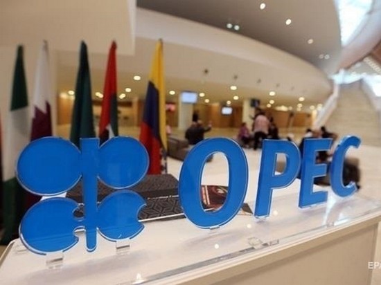 В ОПЕК выступили против снижения цен на нефть