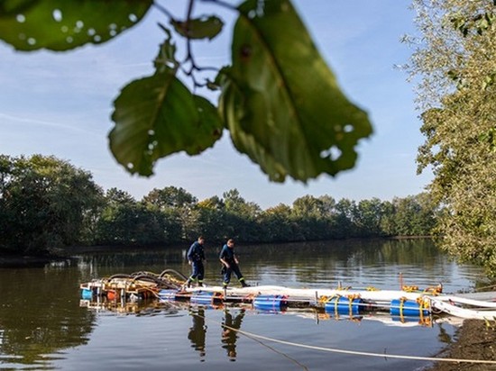 В Германии осушат озеро для поиска убитой женщины