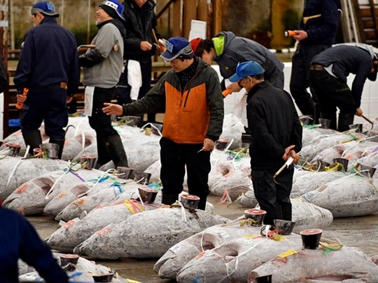 В Токио из-за Олимпиады закрыли крупнейший в мире рыбный рынок