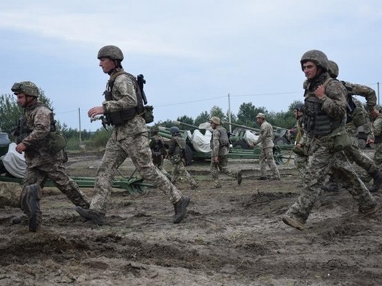 Украинские военные примут участие в масштабных учениях НАТО