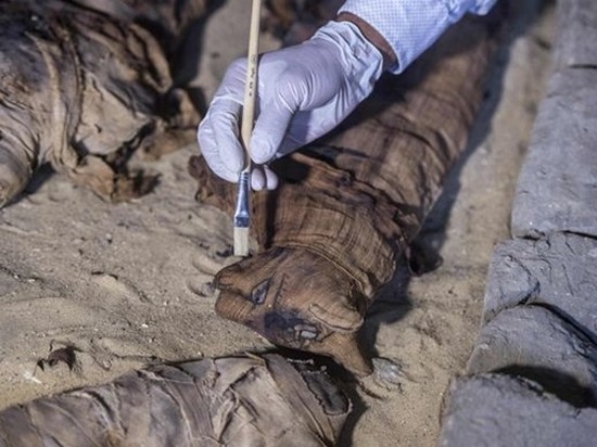 В Египте раскопали древнюю коллекцию кошек-мумий