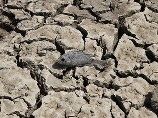 Предсказана глобальная нехватка питьевой воды