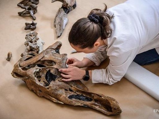 В Италии нашли останки старейшего динозавра
