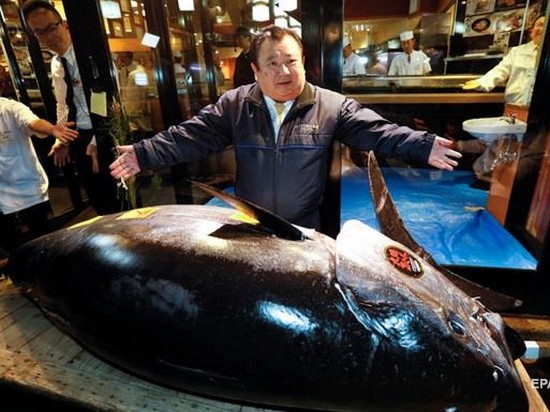 На аукционе в Токио продали тунца за рекордные $3 миллиона