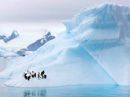 Площадь ледового покрова в Антарктике рекордно уменьшилась