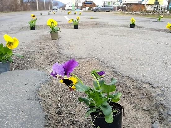На Закарпатье к приезду Порошенко в дорожных ямах «посадили» цветы