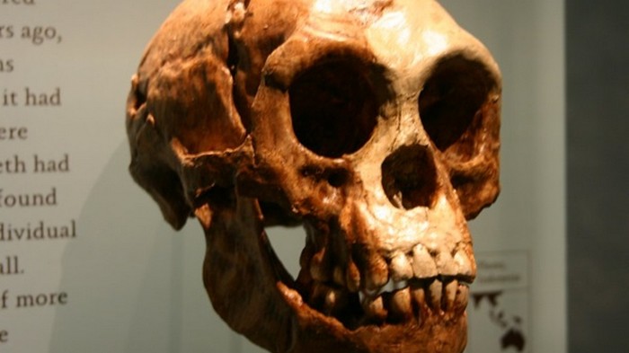 Найдены останки древних людей неизвестного вида