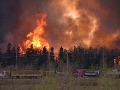 В Канаде эвакуируют 80-тысячный город из-за лесных пожаров