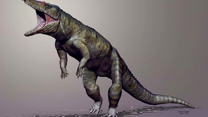Ученые обнаружили останки древних травоядных крокодилов