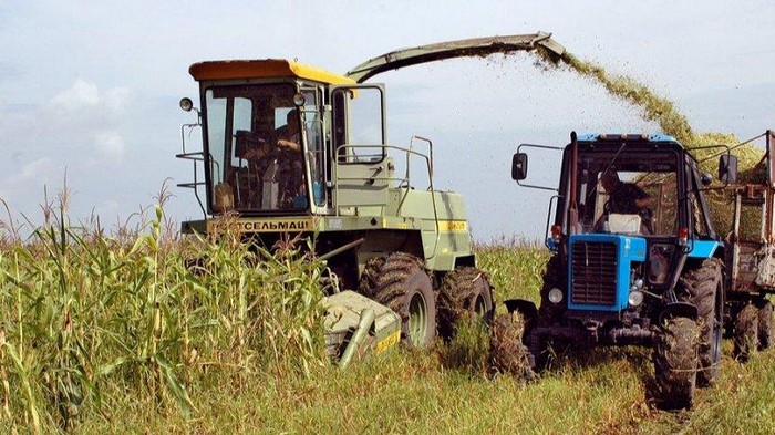Половина аграрных предприятий Украины убыточна