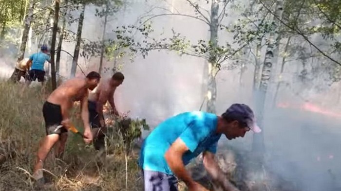 Украинцы помогли потушить лесной пожар в Польше (видео)