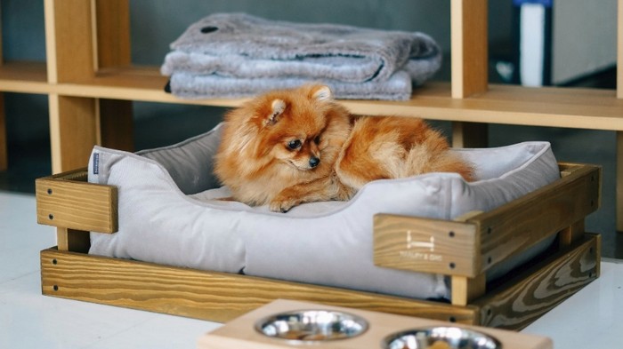 кровать для собаки