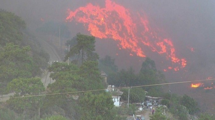 В Турции возле курортного Бодрума вспыхнул лесной пожар: огонь угрожает жилым районам
