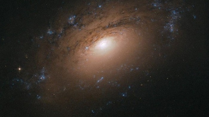 НАСА показало соседнюю галактику с 200 молодыми звездами
