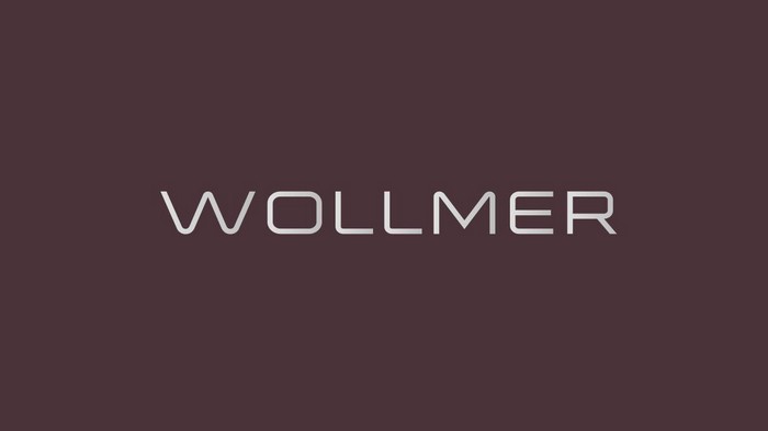 Бытовая техника Wollmer — качество и контроль, доведенные до совершенства