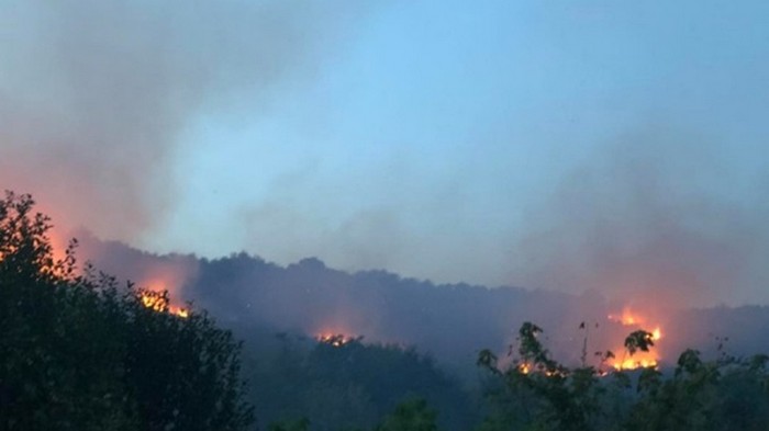 На Закарпатье масштабный пожар: горят виноградники и лес