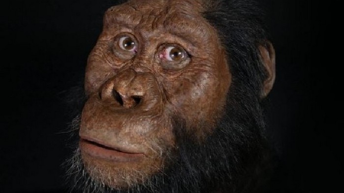 Ученые воссоздали внешность древнейшего предка человека: фото