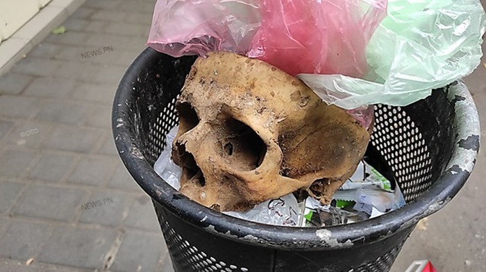 В Николаеве нашли человеческий череп в урне для мусора (фото)