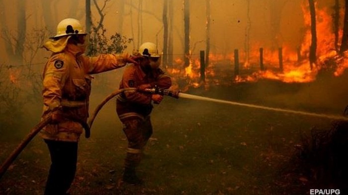 В Австралии бушуют лесные пожары: есть жертвы