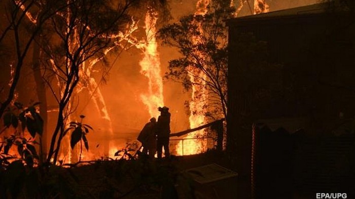 Сидней затянуло дымом из-за масштабного лесного пожара