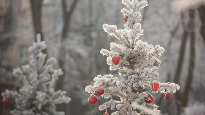 Погода на Рождество: чего ждать украинцам