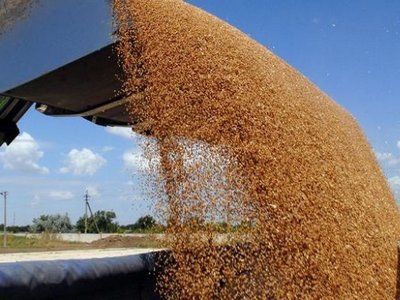 Украина установила рекорд экспорта зерна