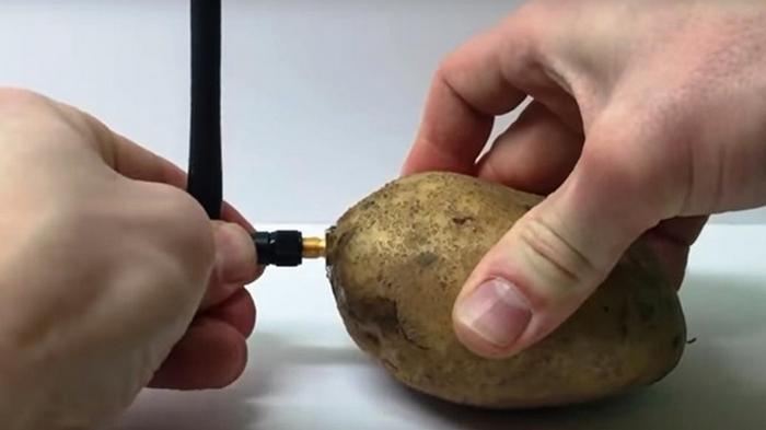 Представлен гаджет для общения с картофелем (видео)