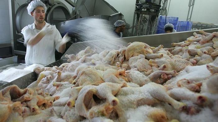 Эксперт оценил потерю рынка ЕС для украинских производителей курятины