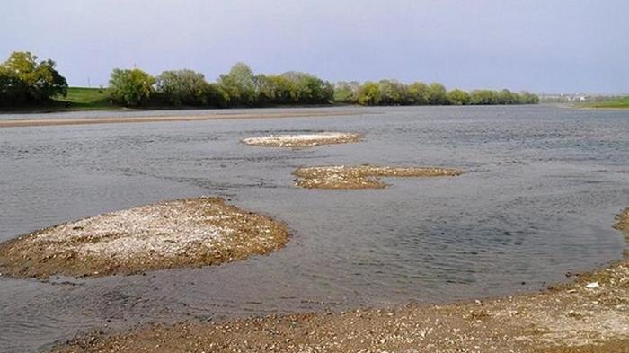 В Украине исчезло 10 тысяч рек за 30 лет