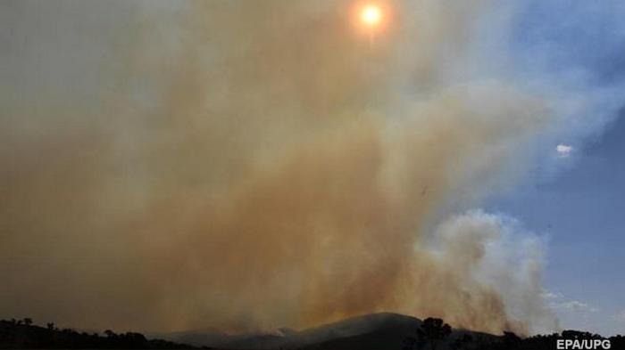В Австралии ввели чрезвычайную ситуацию из-за пожаров