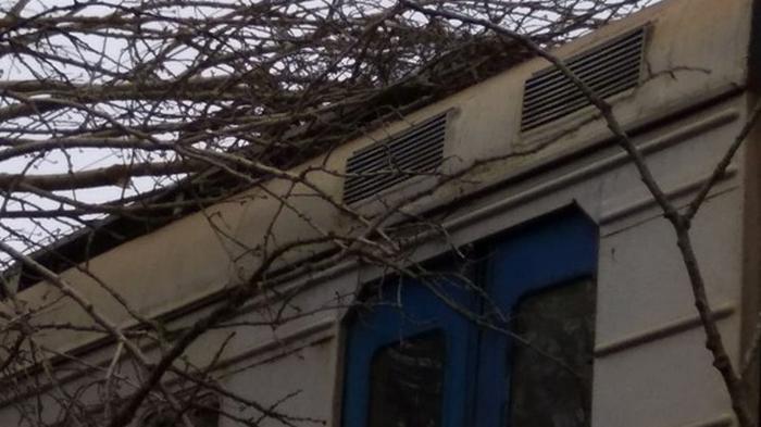 В Украине из-за непогоды нарушена работа ж/д сообщения (фото)