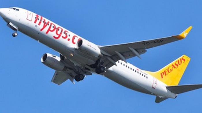В Турции сел самолет с потерявшим сознанием пилотом