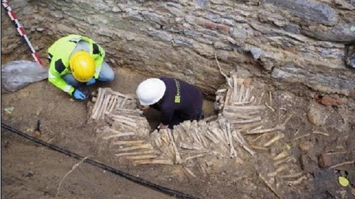 В Бельгии обнаружили стены из человеческих черепов и костей