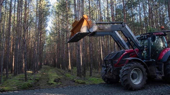 Суд в Германии приостановил вырубку леса на участке для завода Tesla