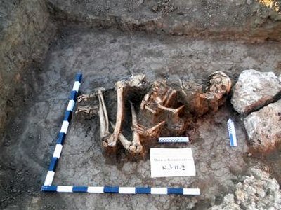 Возле Мариуполя обнаружили останки великана
