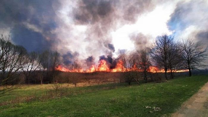 В Украине с начала года почти 15 тысяч природных пожаров